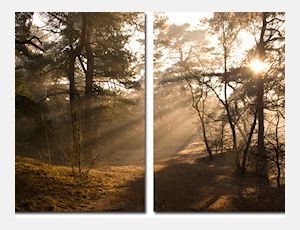 Diptic Symfonic - Harmonie