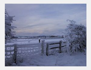 Dutch Christmas Carols - Fanfare