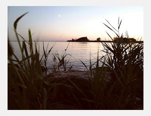 Ferdivedaasje - Harmonie