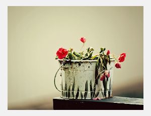 Flowers Swing - Harmonie