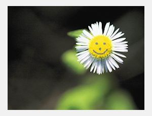 Forever Young Overture - Harmonie