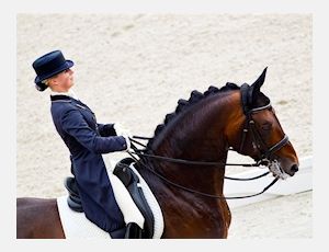 Grazioso - Fanfare