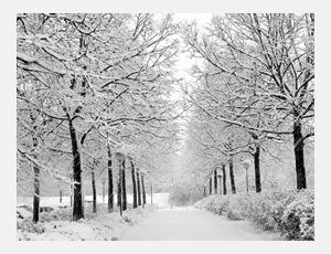 In the Bleak Midwinter - Fanfare