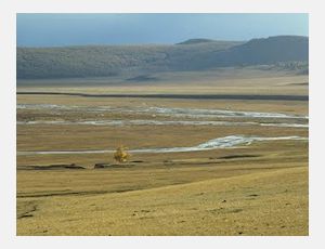 In the Steppes of Central Asia - Harmonie