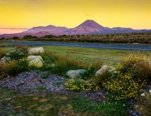 Maori Boat Song - Harmonie