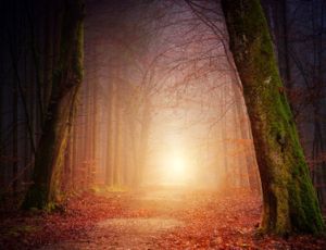 Of Fear and Quiet Hope - Harmonie