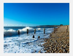 Rye Bay - Fanfare