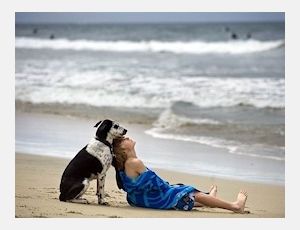 Someone to Watch over Me - Harmonie