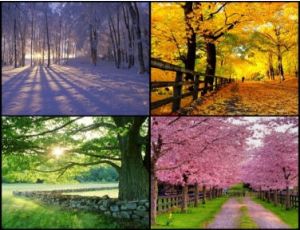 The Seasons - Fanfare