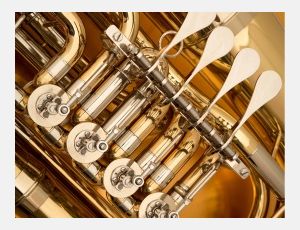 Vergiss Mein Nicht - Harmonie