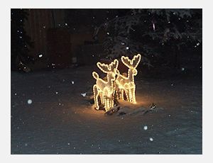 Weihnachts Motette - Fanfare