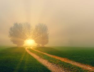 When I Dream - Flex 4