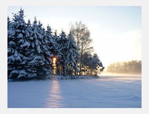 White Christmas - Harmonie