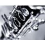 Concerto for Bb-Clarinet and Wind-Ensemble - Harmonie
