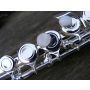 Concerto for Flute and Band - Harmonie