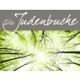 Die Judenbuche - Harmonie