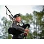 Freedom and Peace - Harmonie