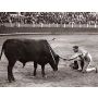 Gallito (Paso-Doble) - Fanfare