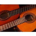 Concerto for Two (amplified) Guitars and Wind Band - Harmonie