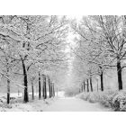 In the Bleak Midwinter - Harmonie